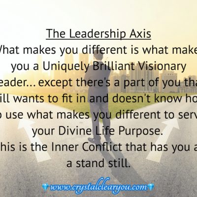 You are a Uniquely Brilliant Visionary Leader